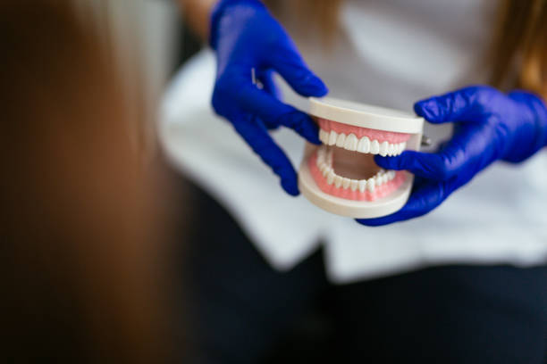 Best Dental Exams and Cleanings  in Hallandale Beach, FL